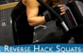 Your 12-Week Daily Video Trainer - Friday, Week 10: Legs, Shoulders & Abs