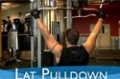 Your 12-Week Daily Video Trainer - Wednesday, Week 11: Back, Biceps & Calves