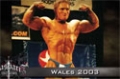Flex Lewis - Chronicles Of The Welsh Dragon 1: The Beginning
