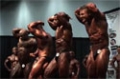 Flex Lewis - Chronicles Of The Welsh Dragon 3: Europa Super Show