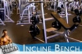 Your 12-Week Daily Video Trainer - Monday, Week 1: Chest, Triceps & Abs