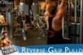 Your 12-Week Daily Video Trainer - Wednesday, Week 1: Back, Biceps & Calves Workout