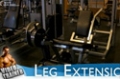Your 12-Week Daily Video Trainer - Friday, Week 1: Legs, Shoulders & Abs Workout