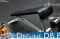 Your 12-Week Daily Video Trainer - Monday, Week 4: Chest, Triceps & Abs