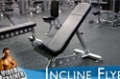 Your 12-Week Daily Video Trainer - Monday, Week 5: Chest, Triceps & Abs