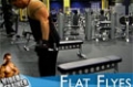 Your 12-Week Daily Video Trainer - Monday, Week 6: Chest, Triceps & Abs