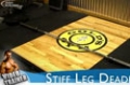 Your 12-Week Daily Video Trainer - Friday, Week 6: Legs, Shoulders & Abs