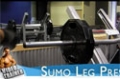 Your 12-Week Daily Video Trainer - Friday, Week 9: Legs, Shoulders & Abs
