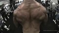 The Cause And Effect Workout by Greg Plitt