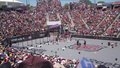 Cross Fit Games: Interview with Dr. Lindsay Mathews