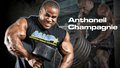 MHP: Protein Innovators