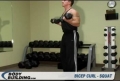 Bicep Curl + Squat