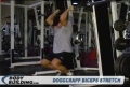 Doggcrapp Biceps Stretch
