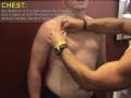 Fat Track Gold Video Instruction: Average Male Chest