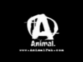 Universal Nutrition Training Videos: Training w/ E. Fankhouser & E. Centopani