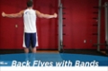 Exercise Guides: Back Flyes - With Bands, Male/Short Clip