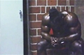 2008 Arnold Classic: Kai Misses The Lineup