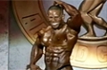 2008 Arnold Classic: Men's Posing Routines - David Henry