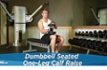 Exercise Guides: Dumbbell Seated One-Leg Calf Raise, Male/Short Clip