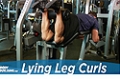 Exercise Guides: Lying Leg Curls, Male/Short Clip