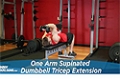 Exercise Guides: One Arm Supinated Dumbbell Triceps Extension, Male/Short Clip