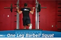 Exercise Guides: One Leg Barbell Squat, Male/Short Clip