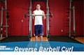 Exercise Guides: Reverse Barbell Curl, Male/Short Clip