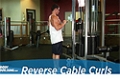 Exercise Guides: Reverse Cable Curls, Male/Short Clip