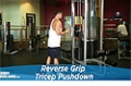 Exercise Guides: Reverse Grip Tricep Pushdown, Male/Short Clip