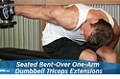 Exercise Guides: Seated Bent-Over One-Arm Dumbbell Triceps Extension, Male/Short Clip