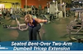 Exercise Guides: Seated Bent-Over Two-Arm Dumbbell Triceps Extension, Male/Short Clip