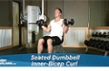 Exercise Guides: Seated Dumbbell Inner-Bicep Curl, Male/Short Clip
