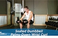 Exercise Guides: Seated Dumbbell Palms-Down Wrist Curl, Male/Short Clip