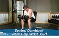 Exercise Guides: Seated Dumbbell Palms-Up Wrist Curl, Male/Short Clip