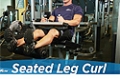Exercise Guides: Seated Leg Curl, Male/Short Clip