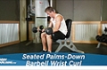 Exercise Guides: Seated Palms-Down Barbell Wrist Curl, Male/Short Clip