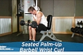 Exercise Guides: Seated Palm-Up Barbell Wrist Curl, Male/Short Clip
