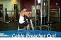 Exercise Guides: Cable Preacher Curl, Male/Short Clip