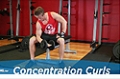 Exercise Guides: Concentration Curls, Male/Short Clip
