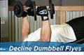 Exercise Guides: Decline Dumbbell Flyes, Male/Short Clip