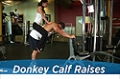 Exercise Guides: Donkey Calf Raises, Male/Short Clip