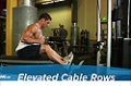 Exercise Guides: Elevated Cable Rows, Male/Short Clip