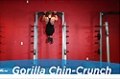 Exercise Guides: Gorilla Chin/Crunch, Male/Short Clip