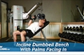 Exercise Guides: Incline Dumbbell Bench With Palms Facing In
