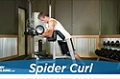 Exercise Guides: Spider Curl, Male/Short Clip
