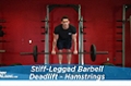 Exercise Guides: Stiff-Legged Barbell Deadlift - Hamstrings,