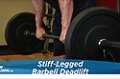 Exercise Guides: Stiff-Legged Barbell Deadlift, Male/Short Clip