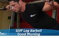 Exercise Guides: Stiff Leg Barbell Good Morning, Male/Short