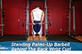 Exercise Guides: Standing Palms-Up Barbell Behind The Back W