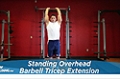 Exercise Guides: Standing Overhead Barbell Triceps Extension